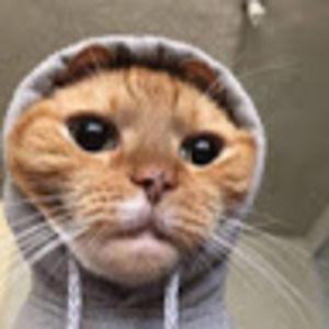 Meet your Posher, Markus